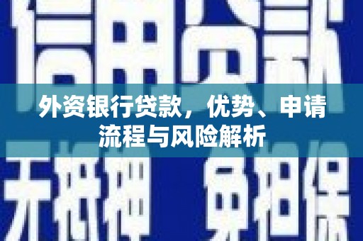 花坛外资银行贷款，优势、申请流程与风险解析