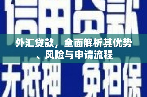 花坛外汇贷款，全面解析其优势、风险与申请流程