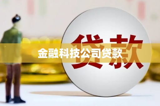 花坛金融科技公司贷款