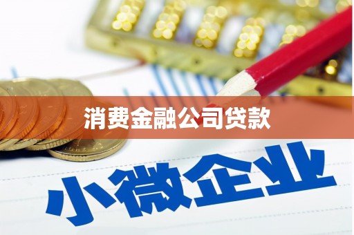 花坛消费金融公司贷款