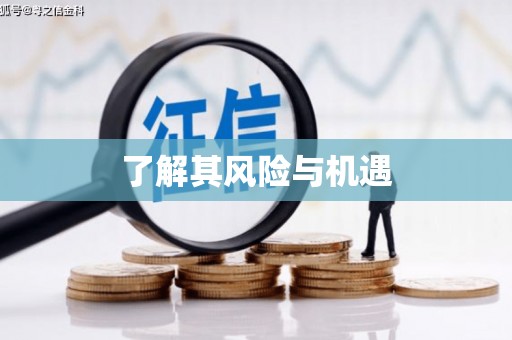 花坛了解其风险与机遇