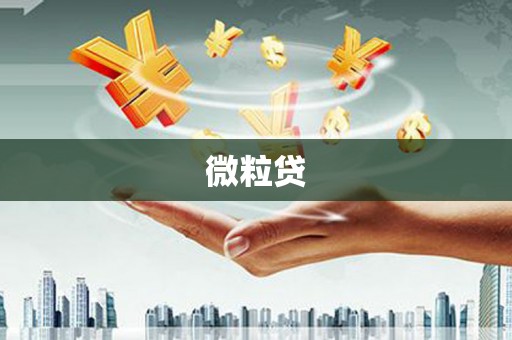 花坛微粒贷