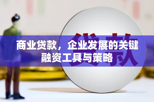 花坛商业贷款，企业发展的关键融资工具与策略