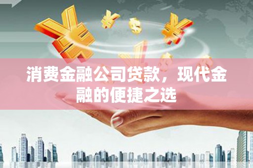花坛消费金融公司贷款，现代金融的便捷之选