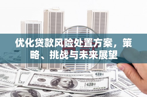 花坛优化贷款风险处置方案，策略、挑战与未来展望