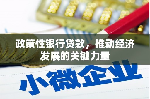 花坛政策性银行贷款，推动经济发展的关键力量