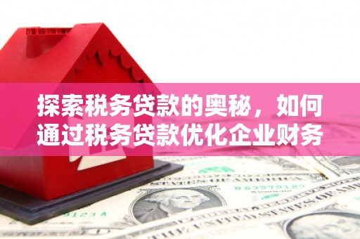 花坛探索税务贷款的奥秘，如何通过税务贷款优化企业财务