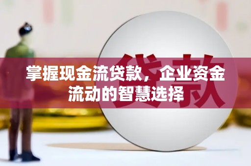 花坛掌握现金流贷款，企业资金流动的智慧选择
