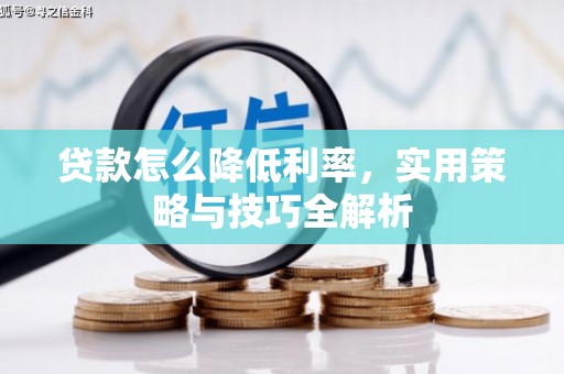 花坛贷款怎么降低利率，实用策略与技巧全解析