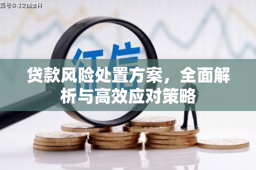 花坛贷款风险处置方案，全面解析与高效应对策略