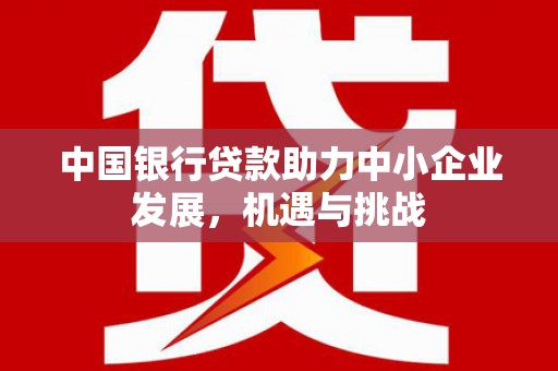 花坛中国银行贷款助力中小企业发展，机遇与挑战