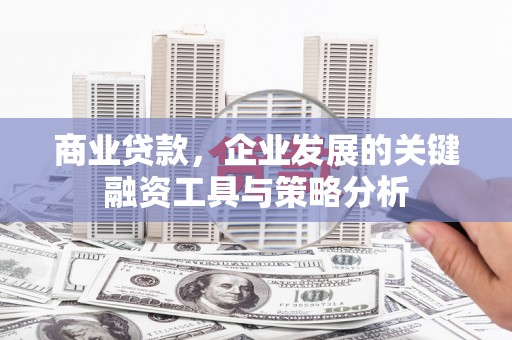 花坛商业贷款，企业发展的关键融资工具与策略分析