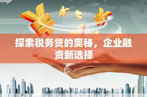 花坛探索税务贷的奥秘，企业融资新选择