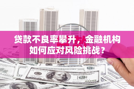花坛贷款不良率攀升，金融机构如何应对风险挑战？