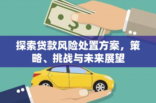 花坛探索贷款风险处置方案，策略、挑战与未来展望