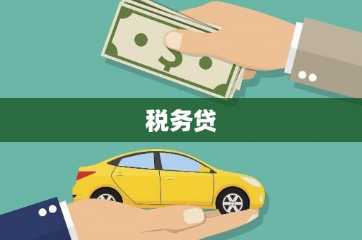 花坛税务贷