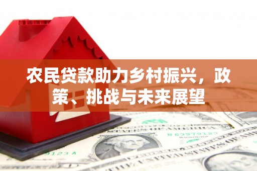 花坛农民贷款助力乡村振兴，政策、挑战与未来展望