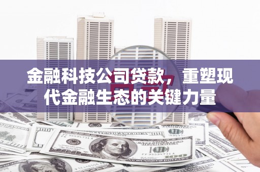 花坛金融科技公司贷款，重塑现代金融生态的关键力量