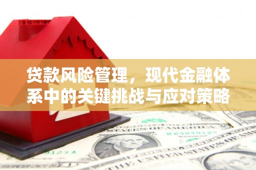 花坛贷款风险管理，现代金融体系中的关键挑战与应对策略