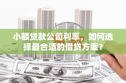 花坛小额贷款公司利率，如何选择最合适的借贷方案？