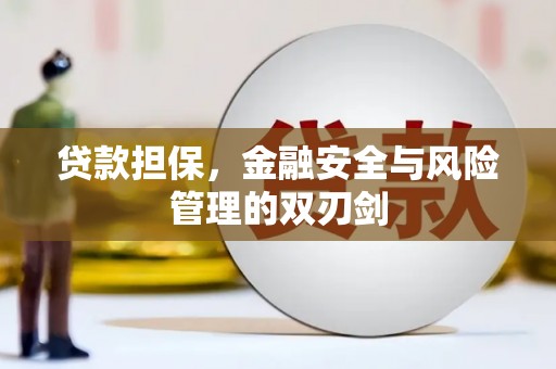 花坛贷款担保，金融安全与风险管理的双刃剑