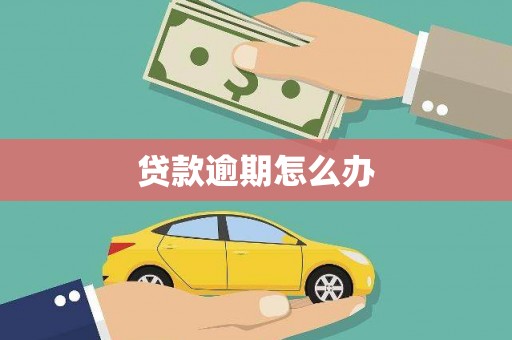 花坛贷款逾期怎么办