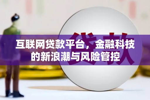 花坛互联网贷款平台，金融科技的新浪潮与风险管控
