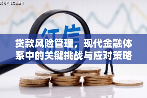 花坛贷款风险管理，现代金融体系中的关键挑战与应对策略