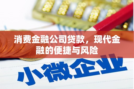 花坛消费金融公司贷款，现代金融的便捷与风险