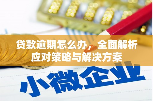 花坛贷款逾期怎么办，全面解析应对策略与解决方案