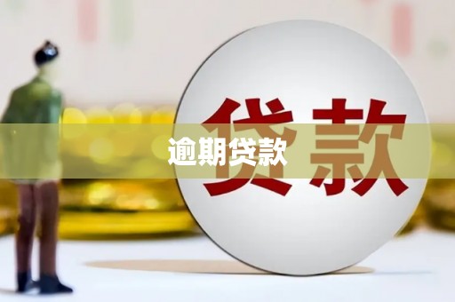 花坛逾期贷款